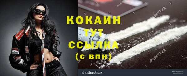 твердый Балахна